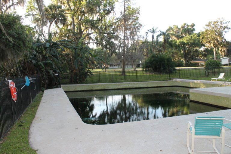 New Members Springs Park Area in Yalaha, Florida